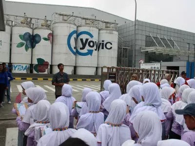 Yoyic 8