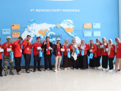 Yoyic 22